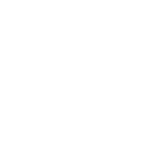 primeak auto logo